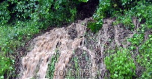 Wasserfälle aus dem Wald auf die Straße