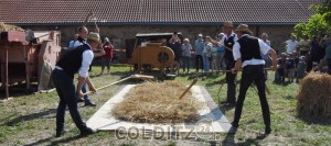 Mit dem Dreschflegel werden die Ähren gedroschen