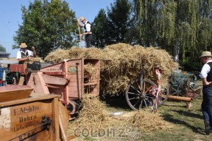 Vom Leiterwagen wird das Getreide in die Dreschmaschine gegeben