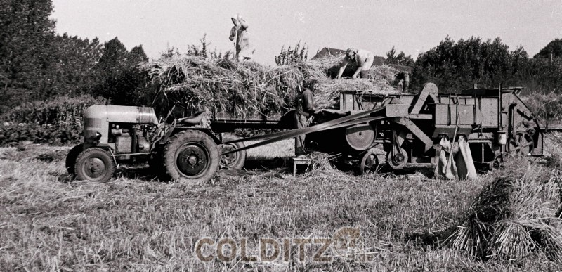 Getreideernte Anfang der 70er Jahre auf dem zum Grundstücvk gehörendem Feld